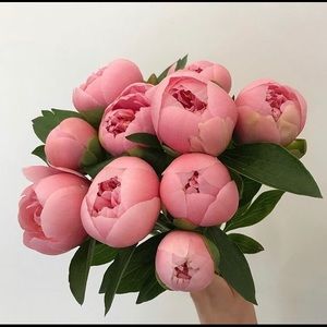 Meet your Posher, Nana